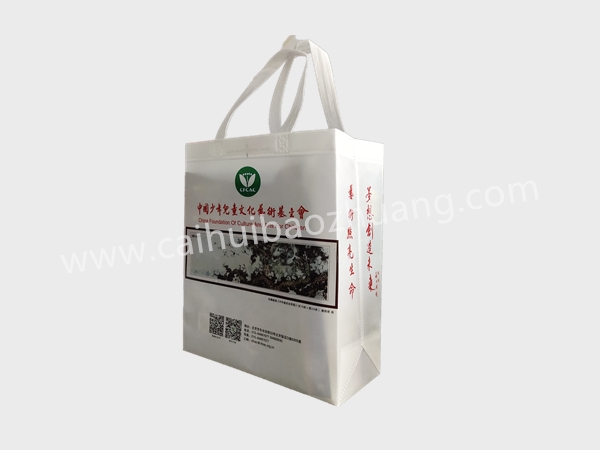 彩匯包裝 協會定制無紡布袋  宣傳用立體手提袋