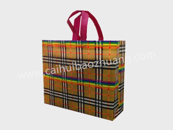 彩匯包裝 時尚購物手提袋 外貿禮品袋