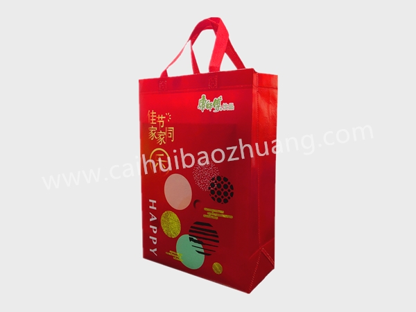 彩匯包裝 無紡布環(huán)保手提袋  手提袋生產(chǎn)廠家